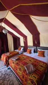Luxury camp desert