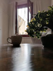 LA GUGLIA - Guglia House apartment-CANNAREGIO-VENEZIA