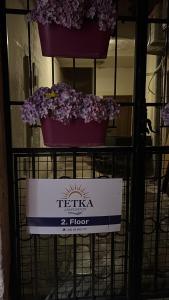 Tetka Guest House