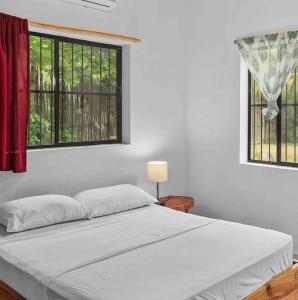 L2 Surfstay Nicaragua