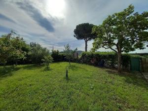 Bilocale Le Pinete