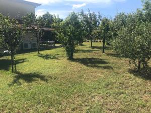Bilocale Le Pinete