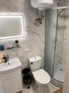 Odessa Comfort Apartment