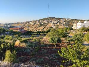The Mountain Village view شاليه أطلالة الجبل