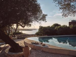 Prosilio olive tree houses