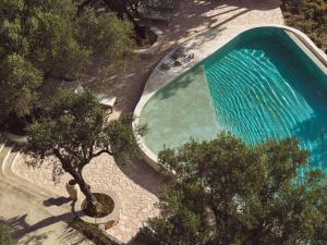 Prosilio olive tree houses