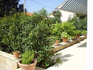 Guesthouse Tuta