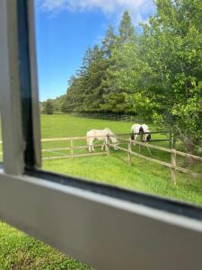 Hexhamshire Shepherd Hut
