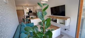 apartament Zielony