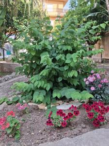La Rugiada-con giardino e parcheggio moto privato