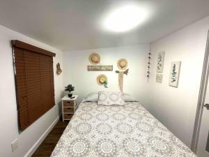 Independent Studio in Little Havana