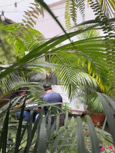 El Extranjero Hostal