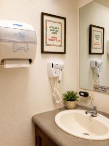 El Extranjero Hostal