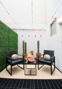 Prime Location Condesa Apt