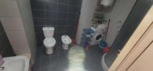 Tani home