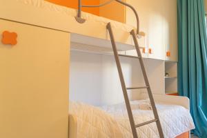 Bouganville img14
