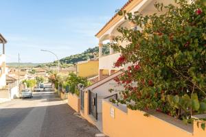 Bouganville img24
