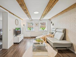 Modern apartments harz I