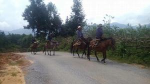 homestay