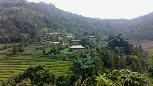 homestay