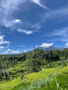 Nahla bungalows tetebatu