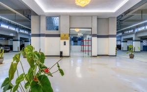 Modern 1br Lavington behind junction mall - Pool and Gym