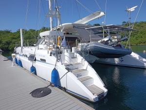 52 ft Luxuary Catamaran at Red Frog Marina Bocas del Toro