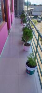 Chaukori Good Morning View Homestay