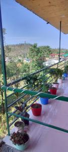 Chaukori Good Morning View Homestay