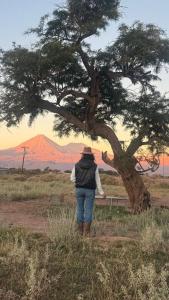 Casa Alma, Desierto y Volcanes