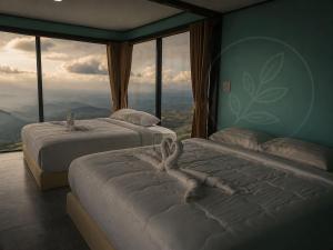 The Forest View ภูทับเบิก