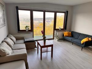 Cozy Studio Apartment with a Beautiful View