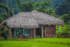 Natu Hut Farmstay & Cafe