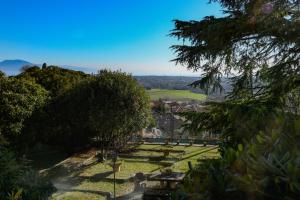 Appartamenti Picedo