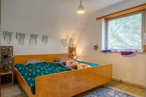Villa 8 personnes - Porte du Ried