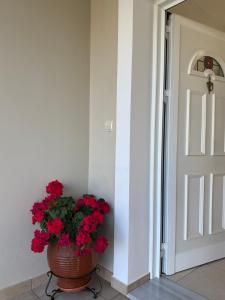 Irinis country house