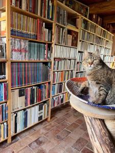 The Bookhouse Home Bb