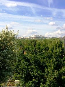 Two-Bedroom House room in Casa Vacanze Cappuccio