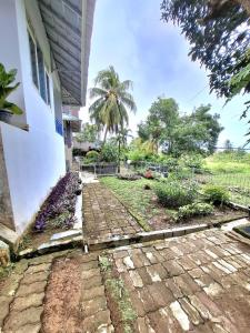 Palm Cozy Villa 4