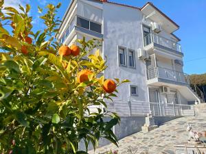 Sotiria Sea Side Luxury villa