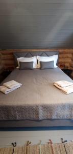 Loft Bucovina