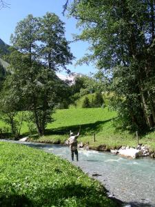 Hotel Garni Forelle
