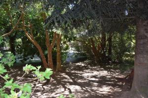 Cabañas y Camping Santa Clara
