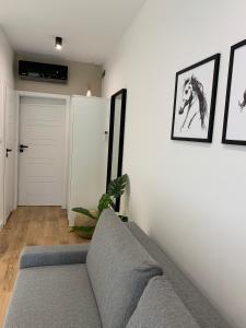 Skorzęcin Apartamenty Orla