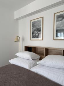 Apartamenty Julia APARTAMENTY OZONOWANE