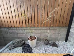 三十三Tatsu