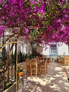 Kale Otel Bodrum
