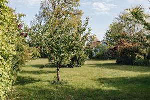 Glück Schmiede Wustrow