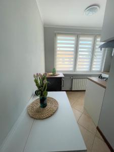 AL-DOM Apartament IZI
