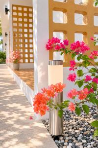 OneVillaResort
